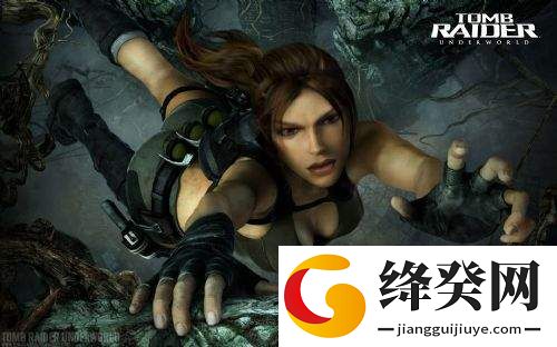 古墓丽影8八项修改器