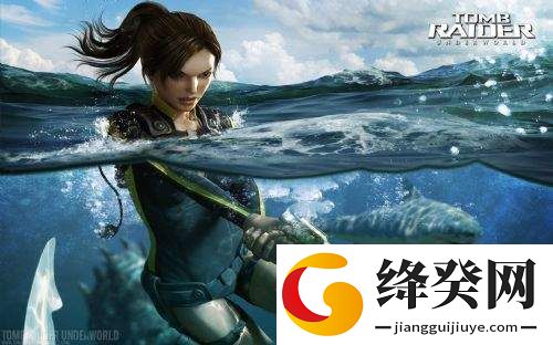古墓丽影8八项修改器