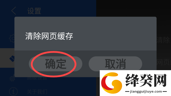 白夜浏览器
