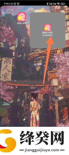鲸鱼小组件会员版截图