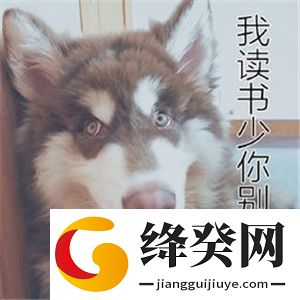 出来单挑啊哈士奇视频截图