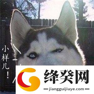出来单挑啊哈士奇视频截图