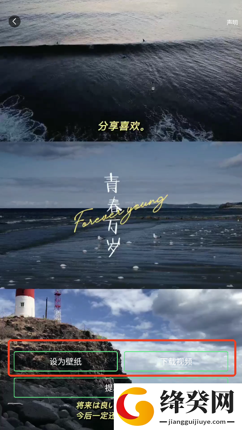白桃动态壁纸