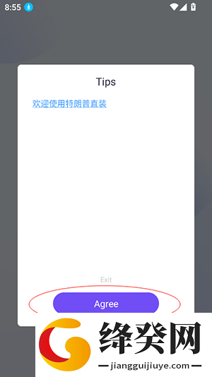 猪八戒直装